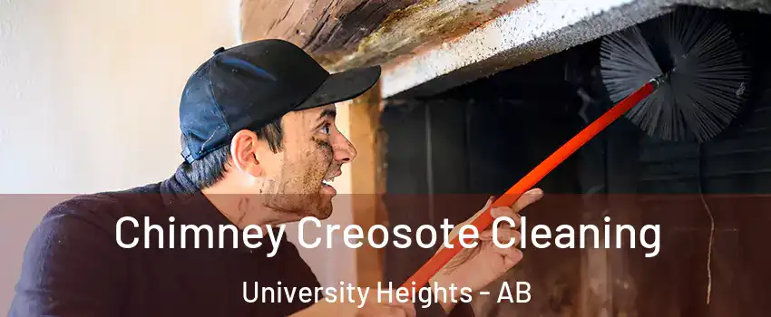  Chimney Creosote Cleaning University Heights - AB