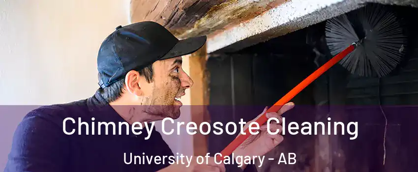 Chimney Creosote Cleaning University of Calgary - AB