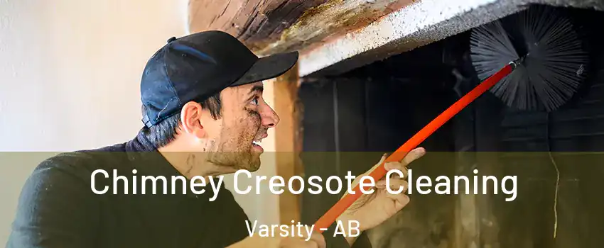  Chimney Creosote Cleaning Varsity - AB
