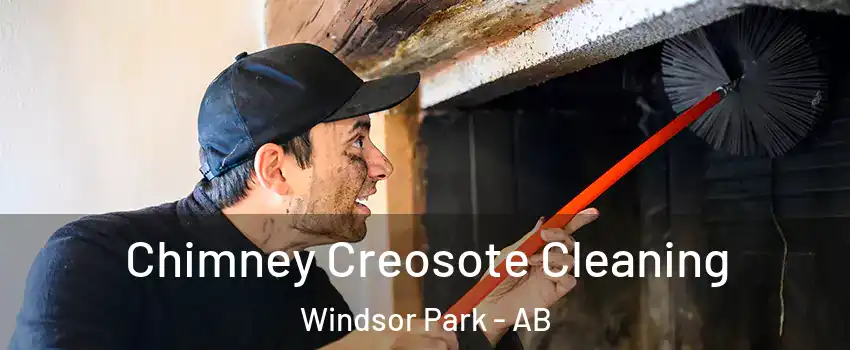  Chimney Creosote Cleaning Windsor Park - AB