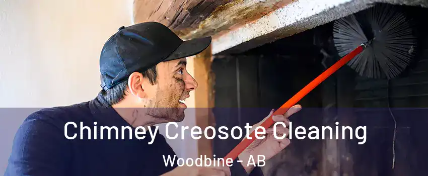  Chimney Creosote Cleaning Woodbine - AB