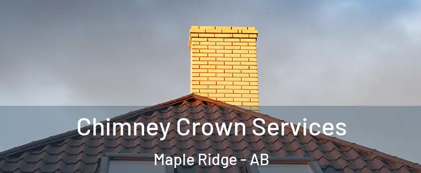  Chimney Crown Services Maple Ridge - AB