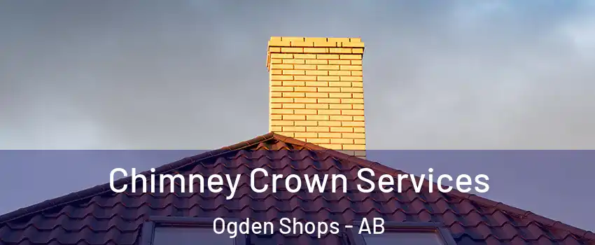 Chimney Crown Services Ogden Shops - AB