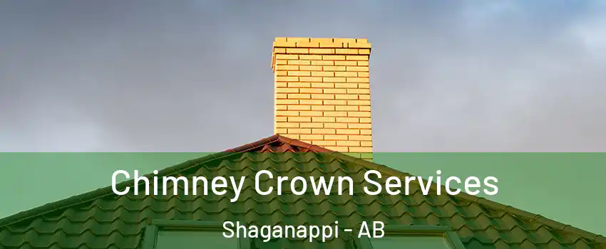Chimney Crown Services Shaganappi - AB