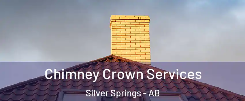 Chimney Crown Services Silver Springs - AB