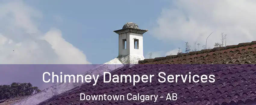  Chimney Damper Services Downtown Calgary - AB