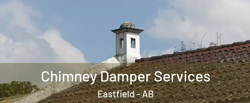  Chimney Damper Services Eastfield - AB