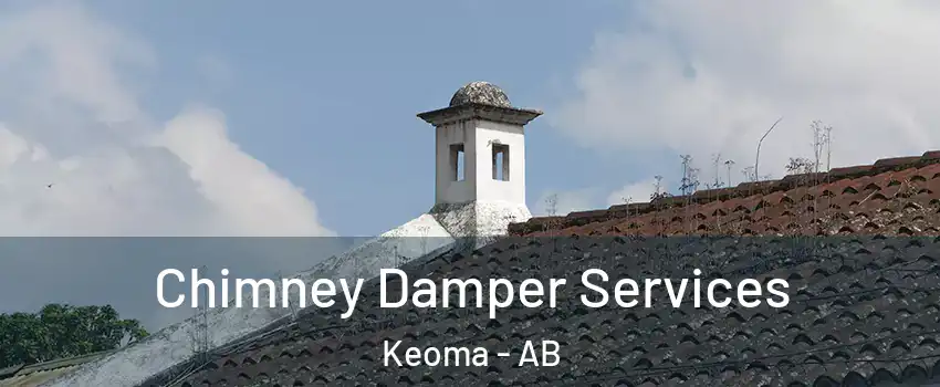  Chimney Damper Services Keoma - AB