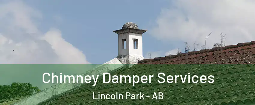  Chimney Damper Services Lincoln Park - AB