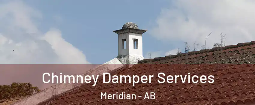  Chimney Damper Services Meridian - AB