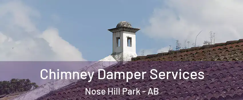  Chimney Damper Services Nose Hill Park - AB