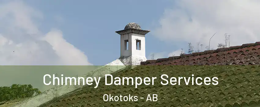  Chimney Damper Services Okotoks - AB