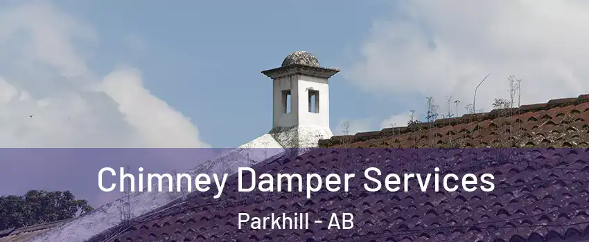  Chimney Damper Services Parkhill - AB