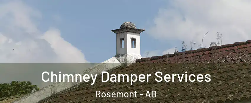  Chimney Damper Services Rosemont - AB