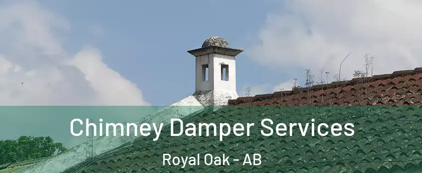  Chimney Damper Services Royal Oak - AB