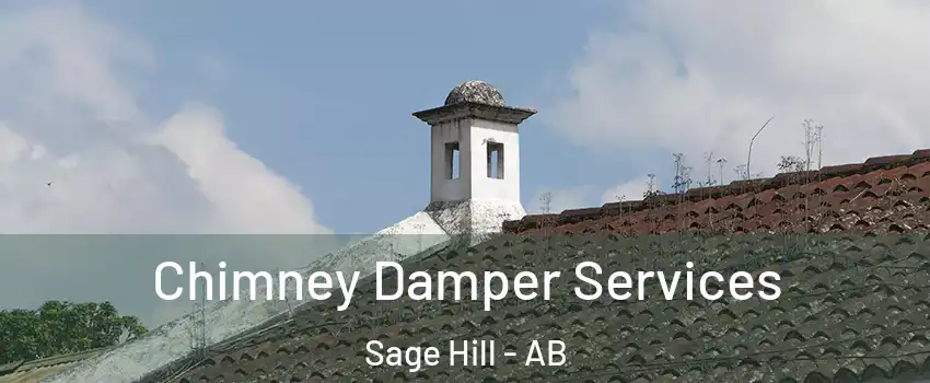  Chimney Damper Services Sage Hill - AB