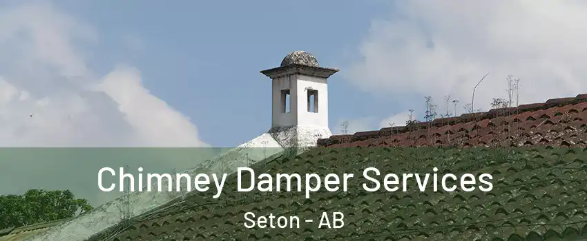  Chimney Damper Services Seton - AB