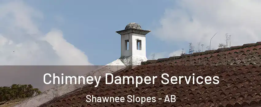  Chimney Damper Services Shawnee Slopes - AB