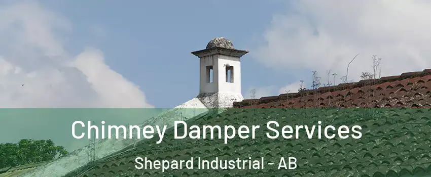  Chimney Damper Services Shepard Industrial - AB