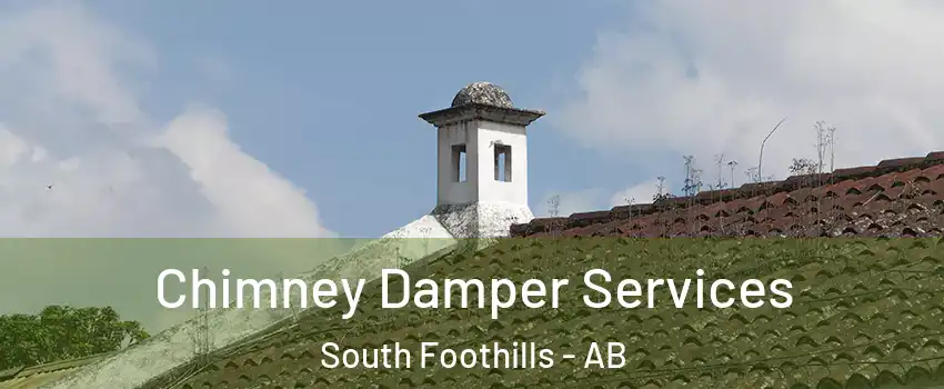  Chimney Damper Services South Foothills - AB