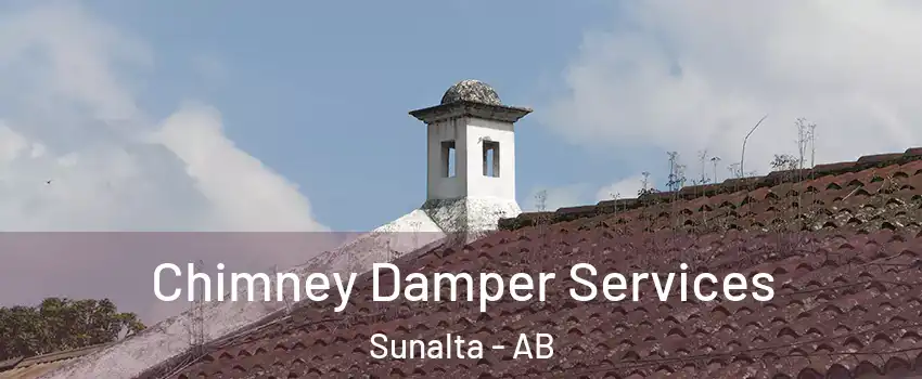  Chimney Damper Services Sunalta - AB