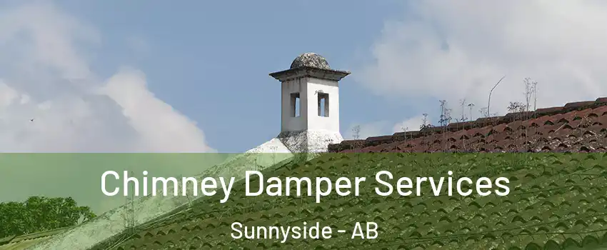 Chimney Damper Services Sunnyside - AB