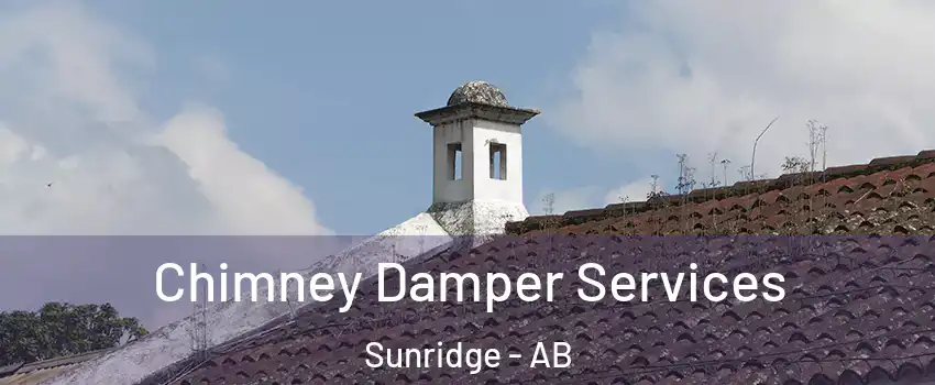  Chimney Damper Services Sunridge - AB