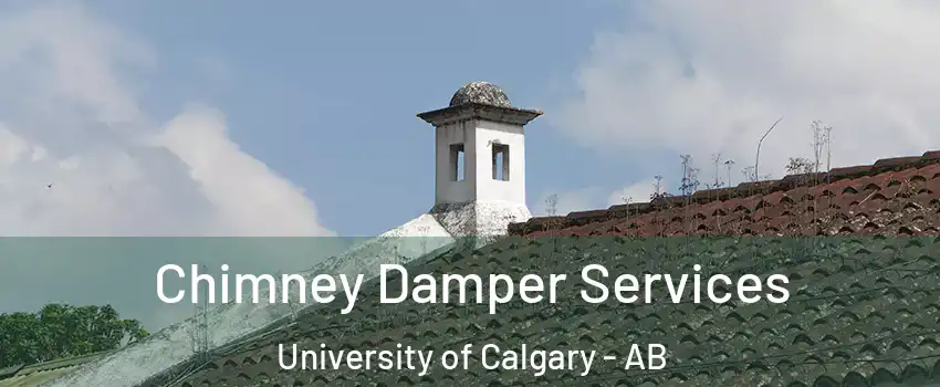 Chimney Damper Services University of Calgary - AB