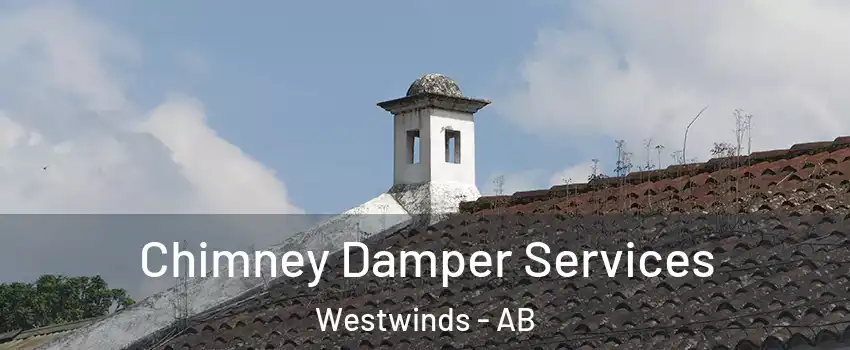  Chimney Damper Services Westwinds - AB