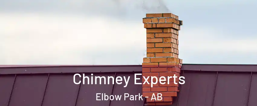 Chimney Experts Elbow Park - AB