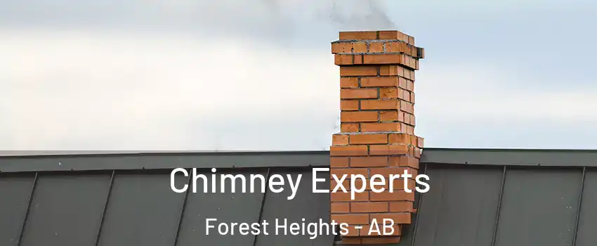 Chimney Experts Forest Heights - AB