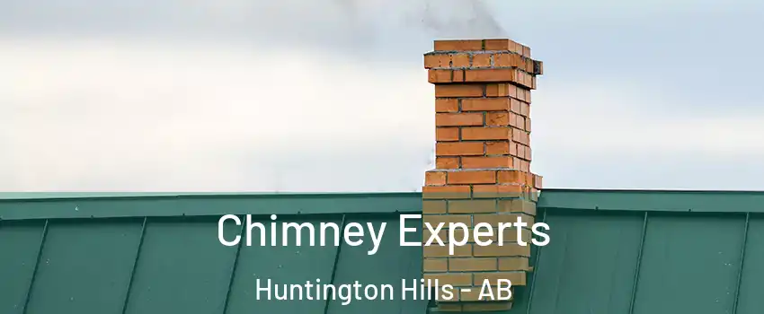  Chimney Experts Huntington Hills - AB
