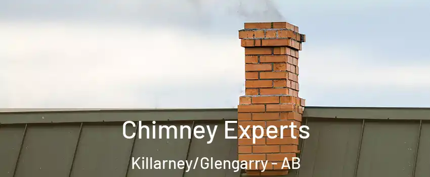  Chimney Experts Killarney/Glengarry - AB