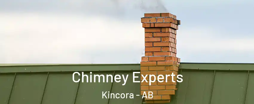 Chimney Experts Kincora - AB