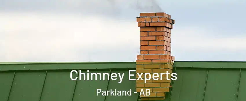 Chimney Experts Parkland - AB