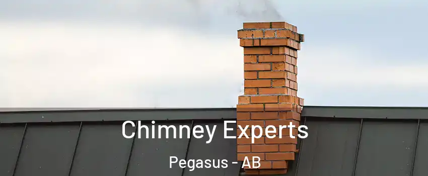 Chimney Experts Pegasus - AB