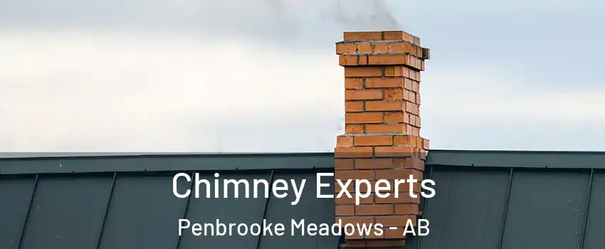  Chimney Experts Penbrooke Meadows - AB