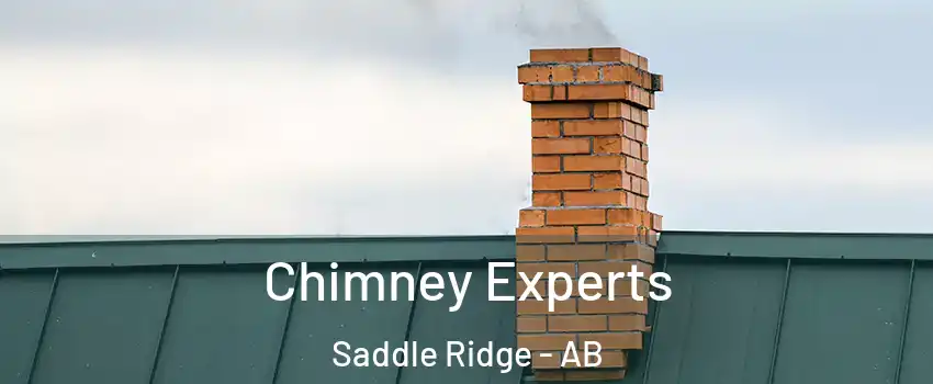  Chimney Experts Saddle Ridge - AB