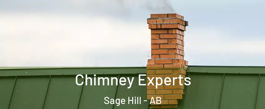  Chimney Experts Sage Hill - AB