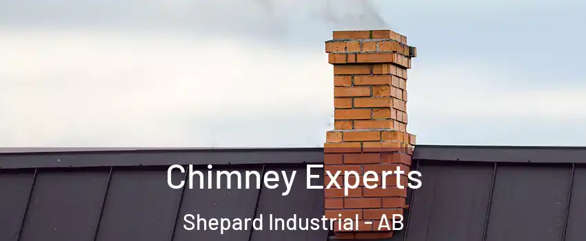 Chimney Experts Shepard Industrial - AB