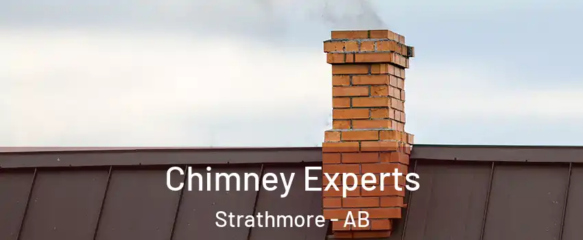Chimney Experts Strathmore - AB