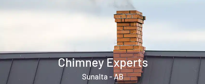 Chimney Experts Sunalta - AB