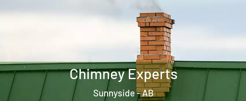 Chimney Experts Sunnyside - AB