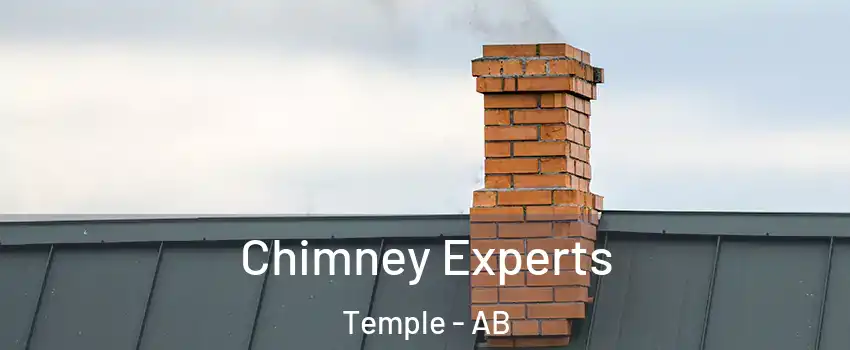 Chimney Experts Temple - AB