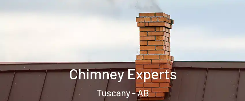  Chimney Experts Tuscany - AB