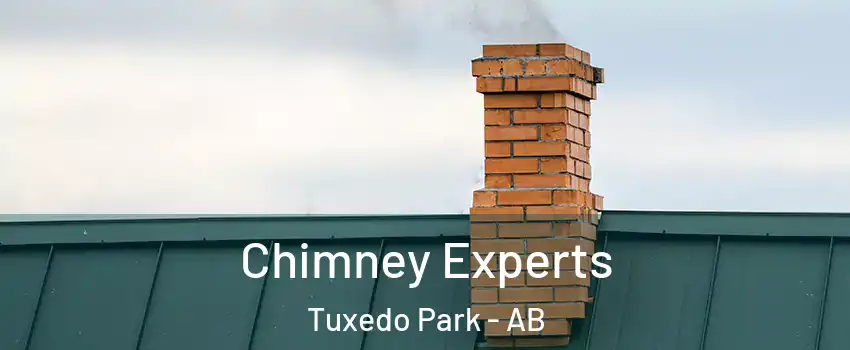 Chimney Experts Tuxedo Park - AB