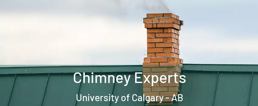 Chimney Experts University of Calgary - AB