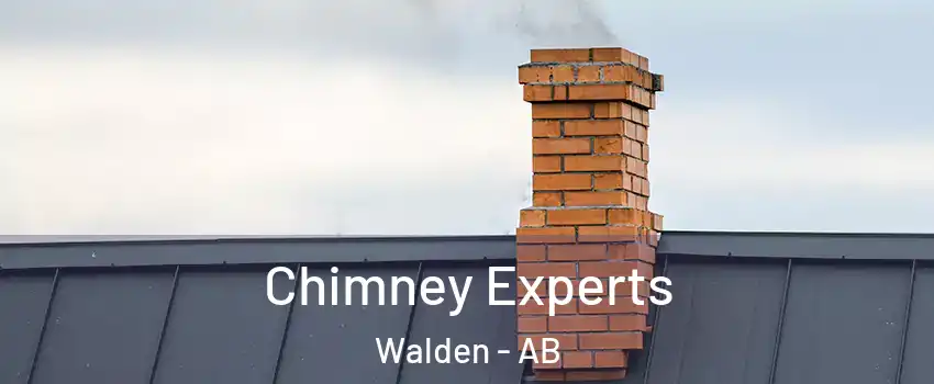 Chimney Experts Walden - AB