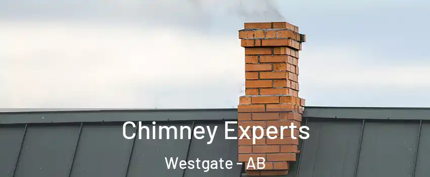 Chimney Experts Westgate - AB