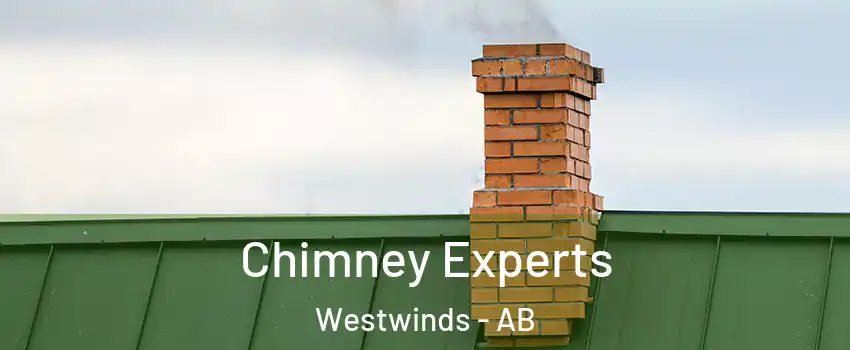  Chimney Experts Westwinds - AB